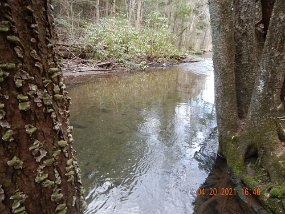 $HickoryRun4-18-2021001$ Another shot of the Saw Mill. I didn't fish here long nor did I hit much of the stream but what I experienced was pleasurable. I will return in the not too...